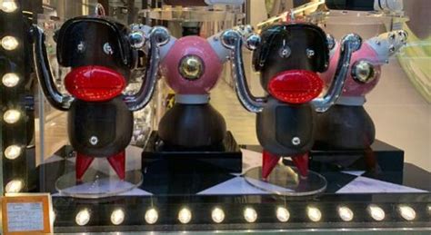 Did a Prada Store Remove Products Resembling .